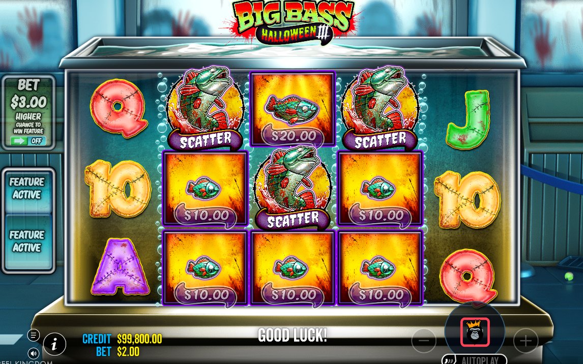 Gratis snurr med båda WILD FISHERMAN-mätarna synliga